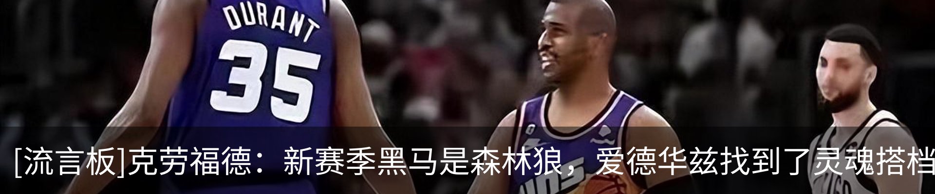 新闻动态
